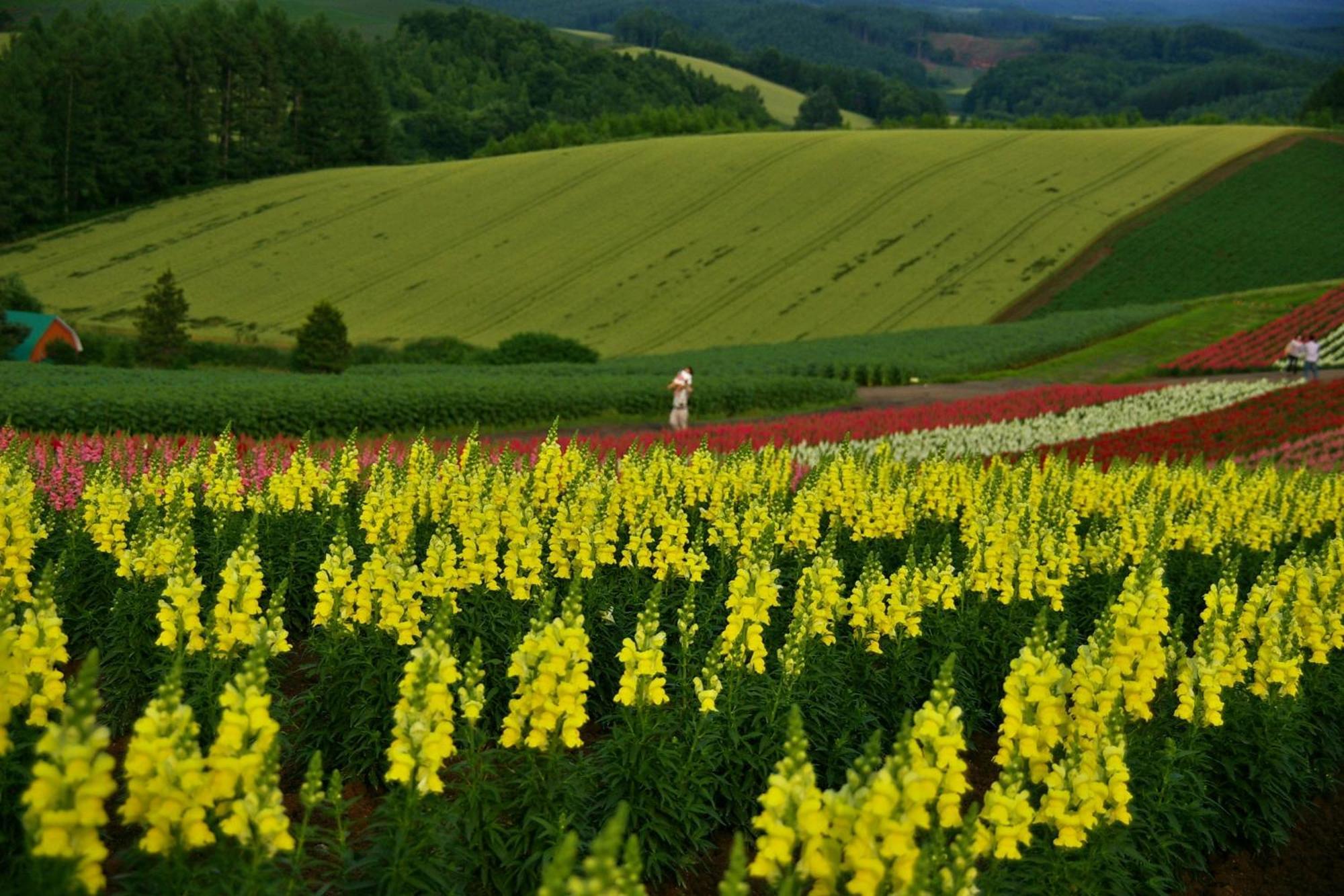 Hotel Naturwald Nakafurano Exteriér fotografie