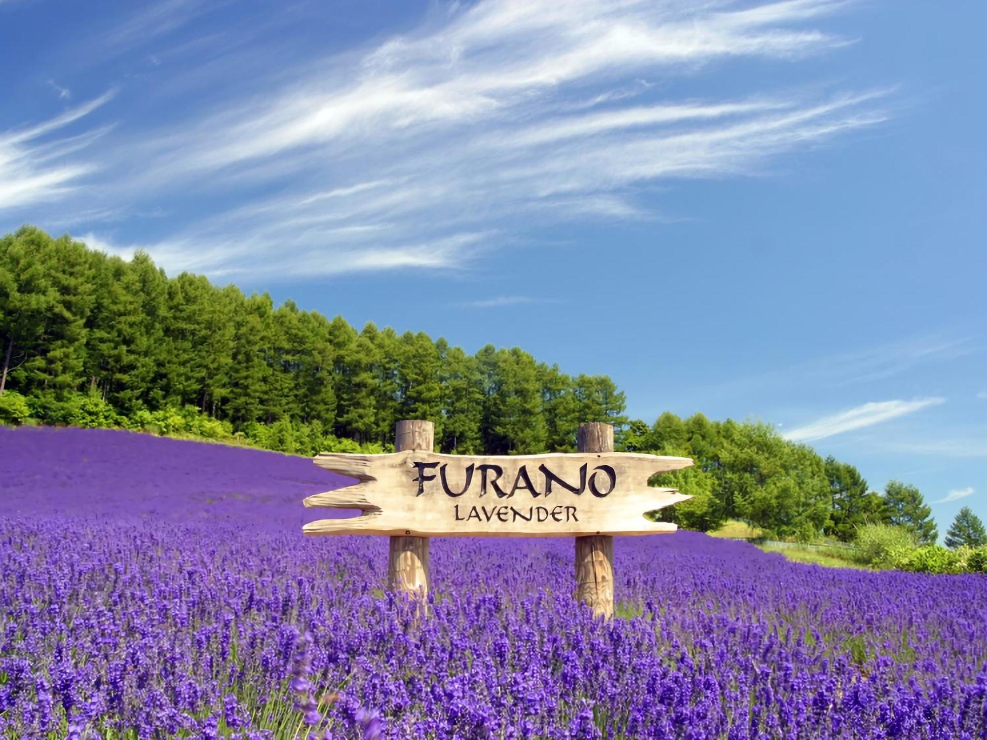 Hotel Naturwald Nakafurano Exteriér fotografie