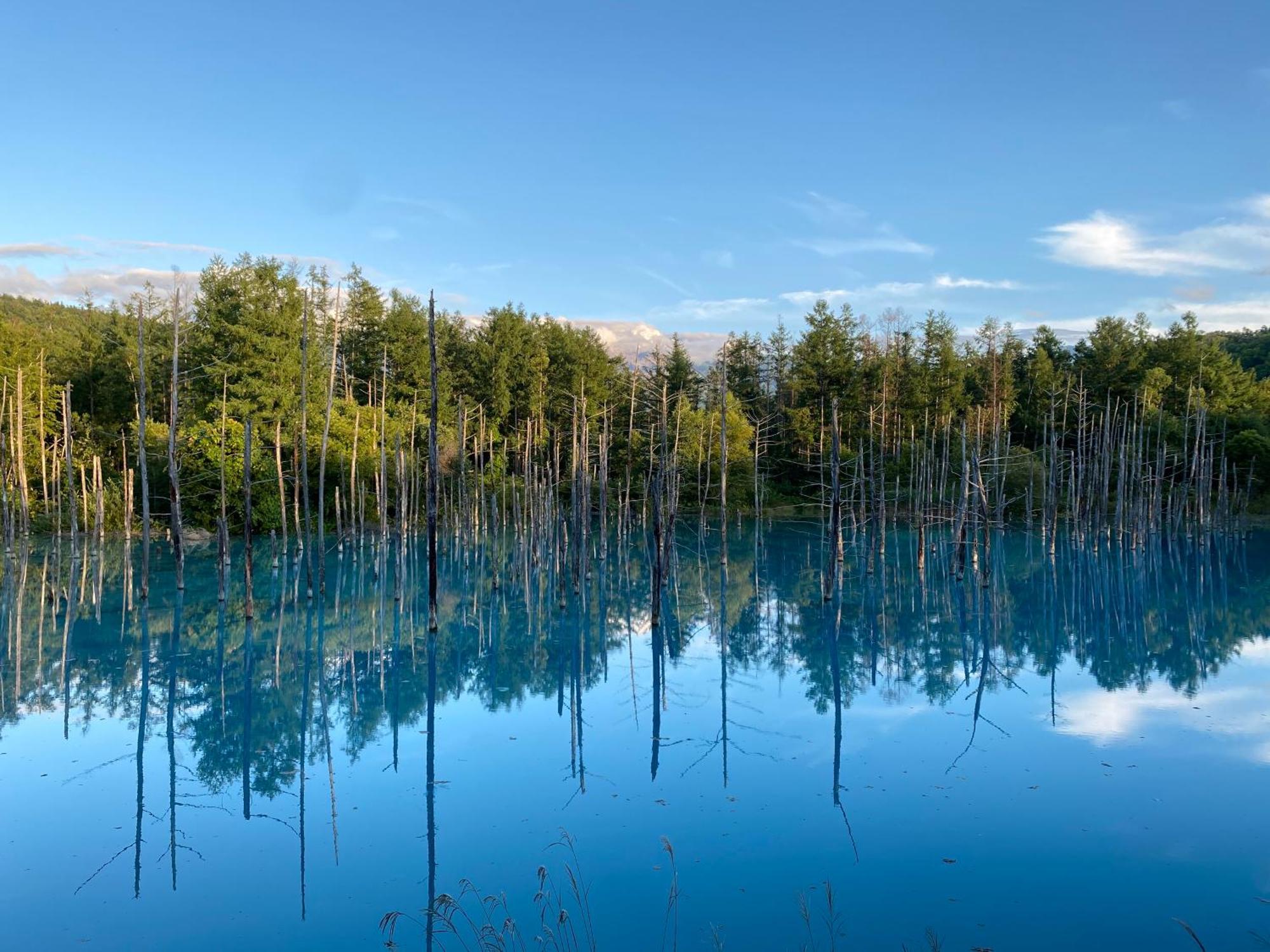 Hotel Naturwald Nakafurano Exteriér fotografie